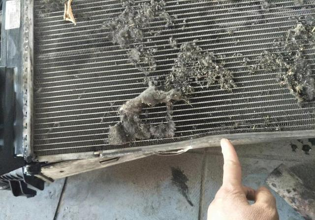  Car Condenser to Fail 